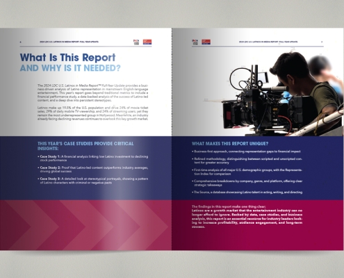 LDC-2024-Media_Report-02